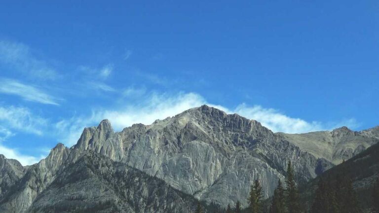 Why Is 11Xplay Pro Id Login Preferred For Secure Sessions?